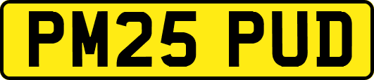 PM25PUD