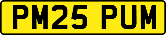 PM25PUM