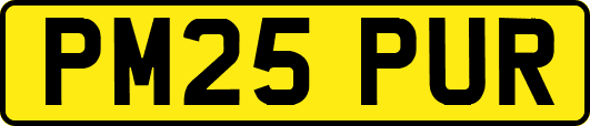 PM25PUR