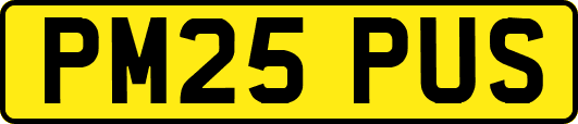 PM25PUS