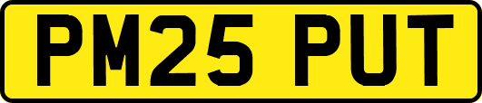 PM25PUT