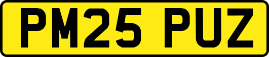 PM25PUZ