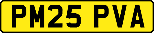PM25PVA