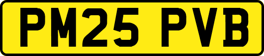 PM25PVB