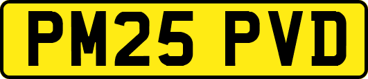 PM25PVD