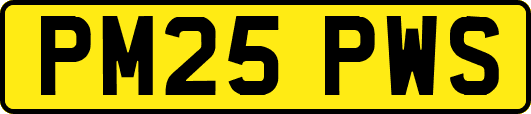 PM25PWS