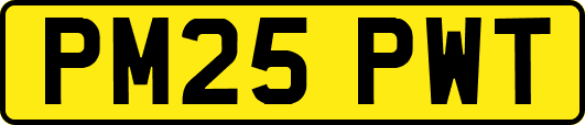 PM25PWT