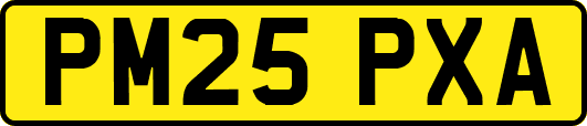 PM25PXA