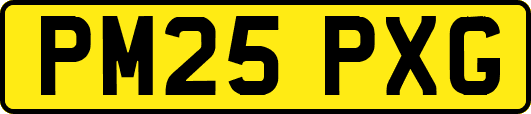 PM25PXG