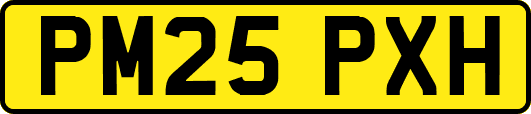 PM25PXH