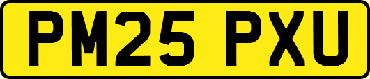 PM25PXU