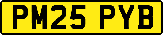 PM25PYB