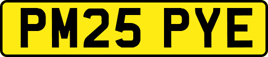 PM25PYE