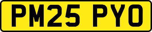 PM25PYO