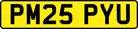 PM25PYU