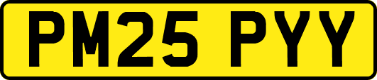 PM25PYY
