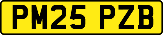 PM25PZB