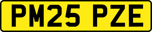 PM25PZE