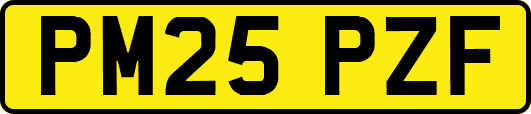 PM25PZF