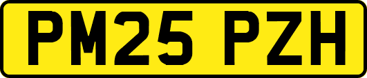 PM25PZH