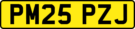 PM25PZJ