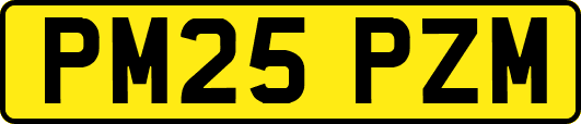 PM25PZM
