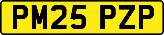 PM25PZP