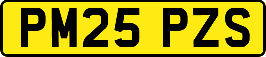 PM25PZS