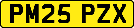 PM25PZX