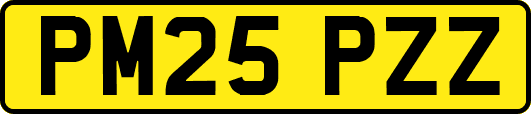 PM25PZZ