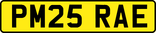 PM25RAE