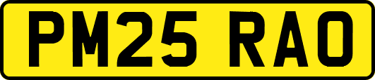 PM25RAO