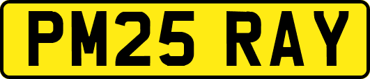 PM25RAY