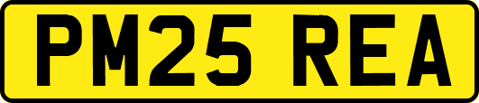 PM25REA