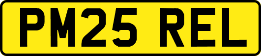PM25REL