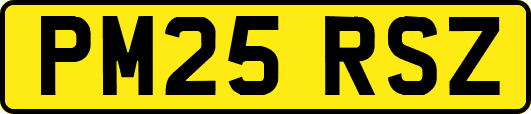 PM25RSZ