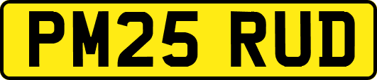 PM25RUD