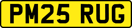 PM25RUG