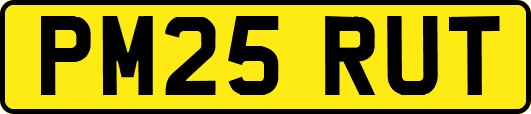 PM25RUT