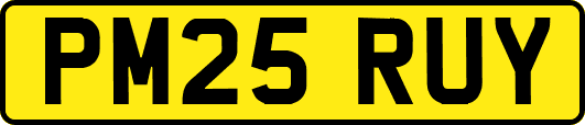 PM25RUY