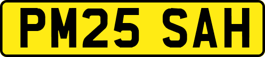 PM25SAH