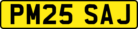PM25SAJ