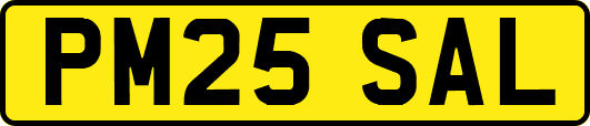 PM25SAL