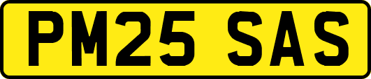 PM25SAS