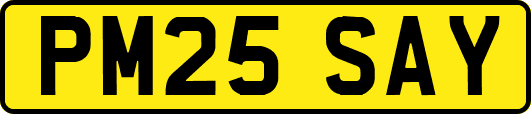 PM25SAY