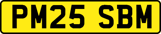 PM25SBM