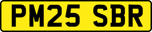 PM25SBR