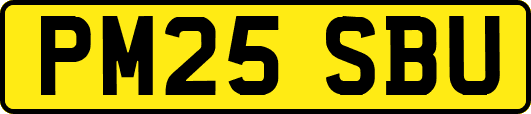 PM25SBU