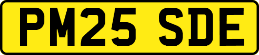 PM25SDE