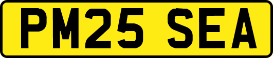 PM25SEA